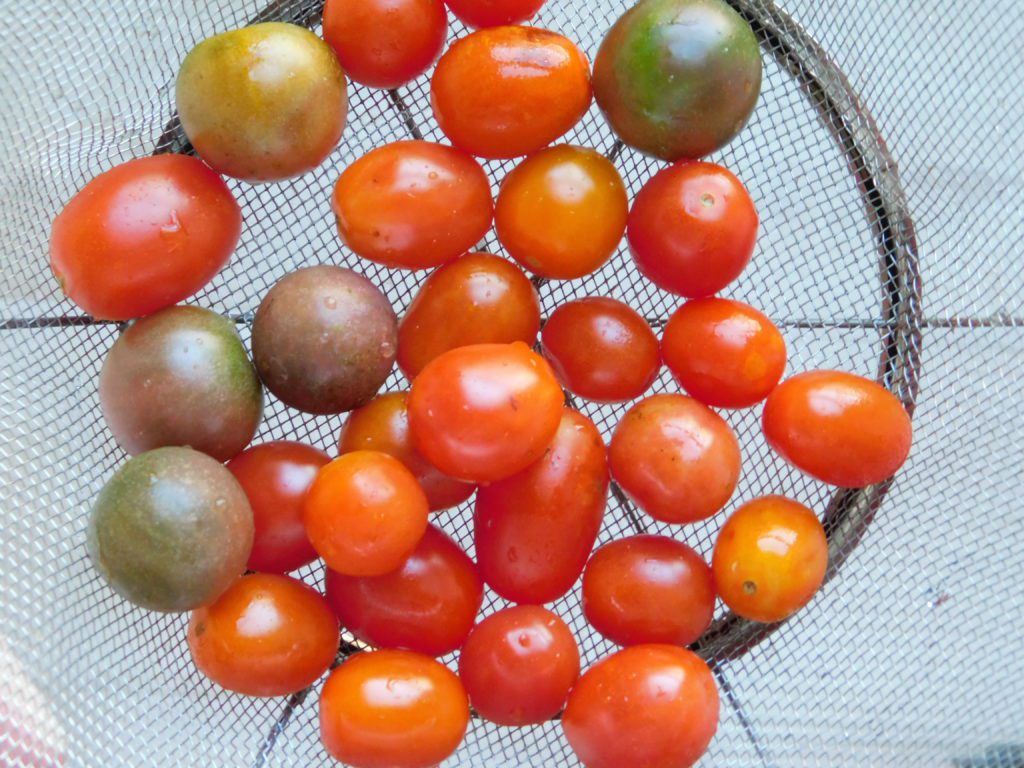 Cherry tomatoes in a collander.