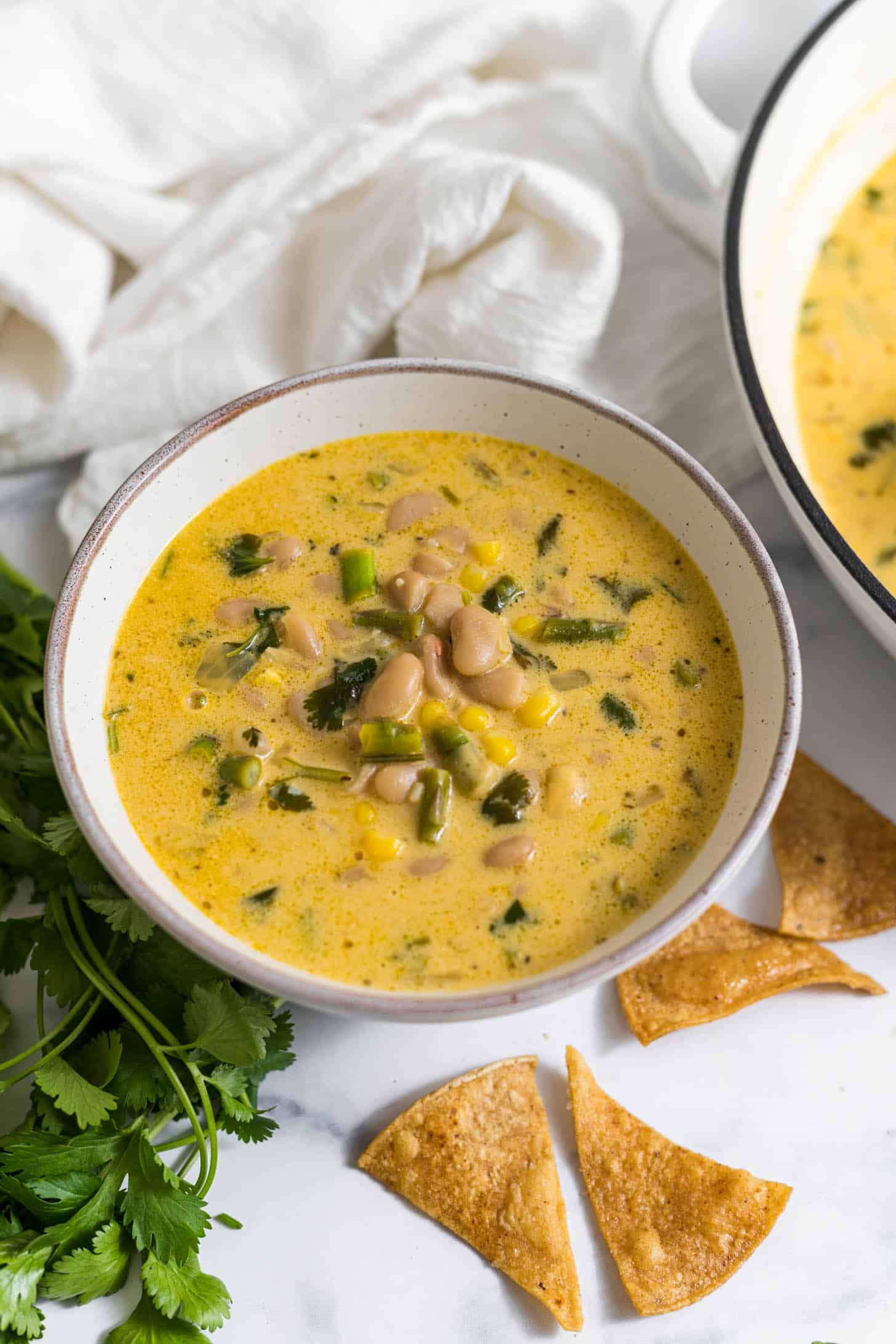 White bean soup in a bowl with cilantro and chips next to it.