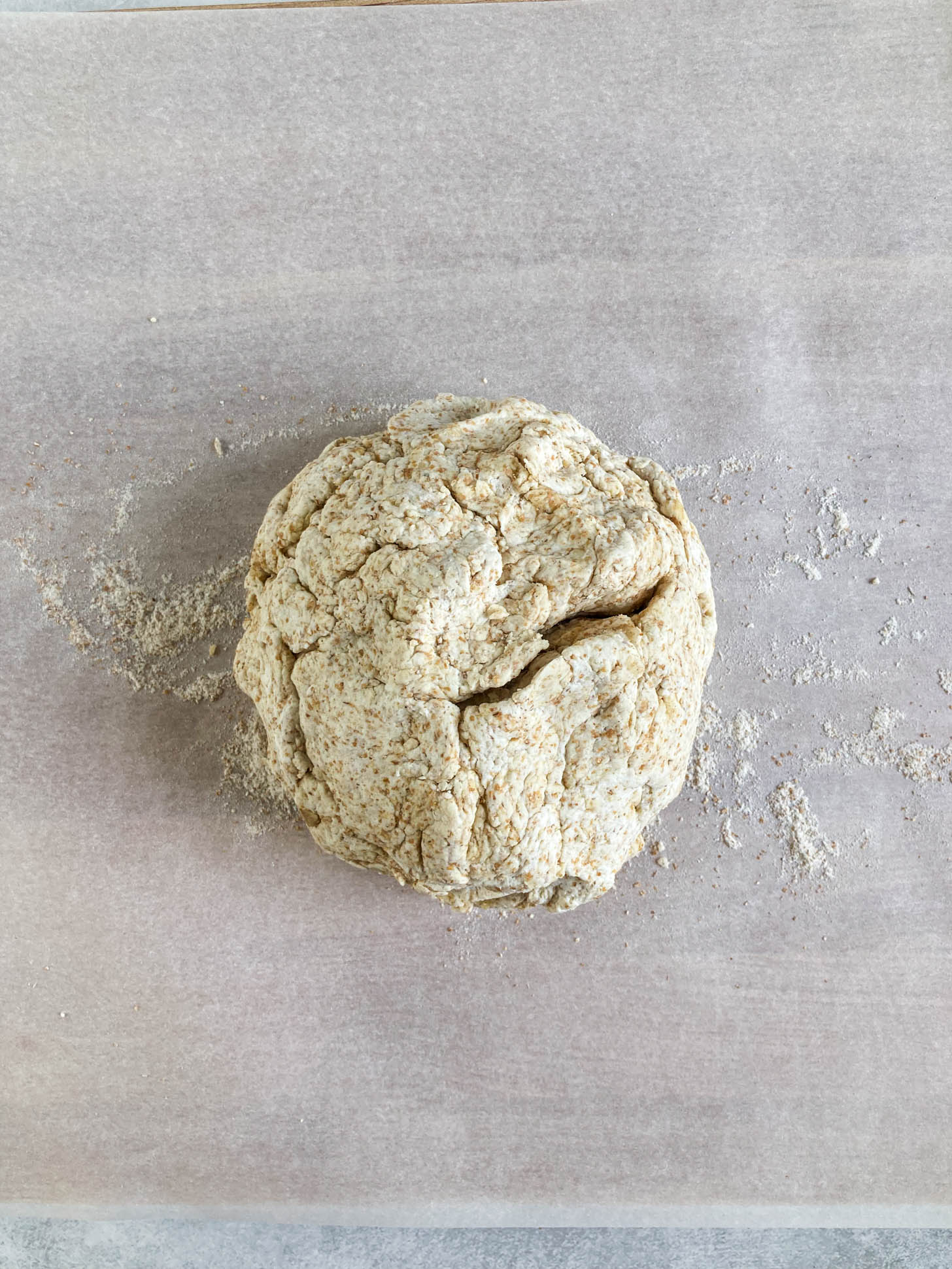 Pizza dough ball. 