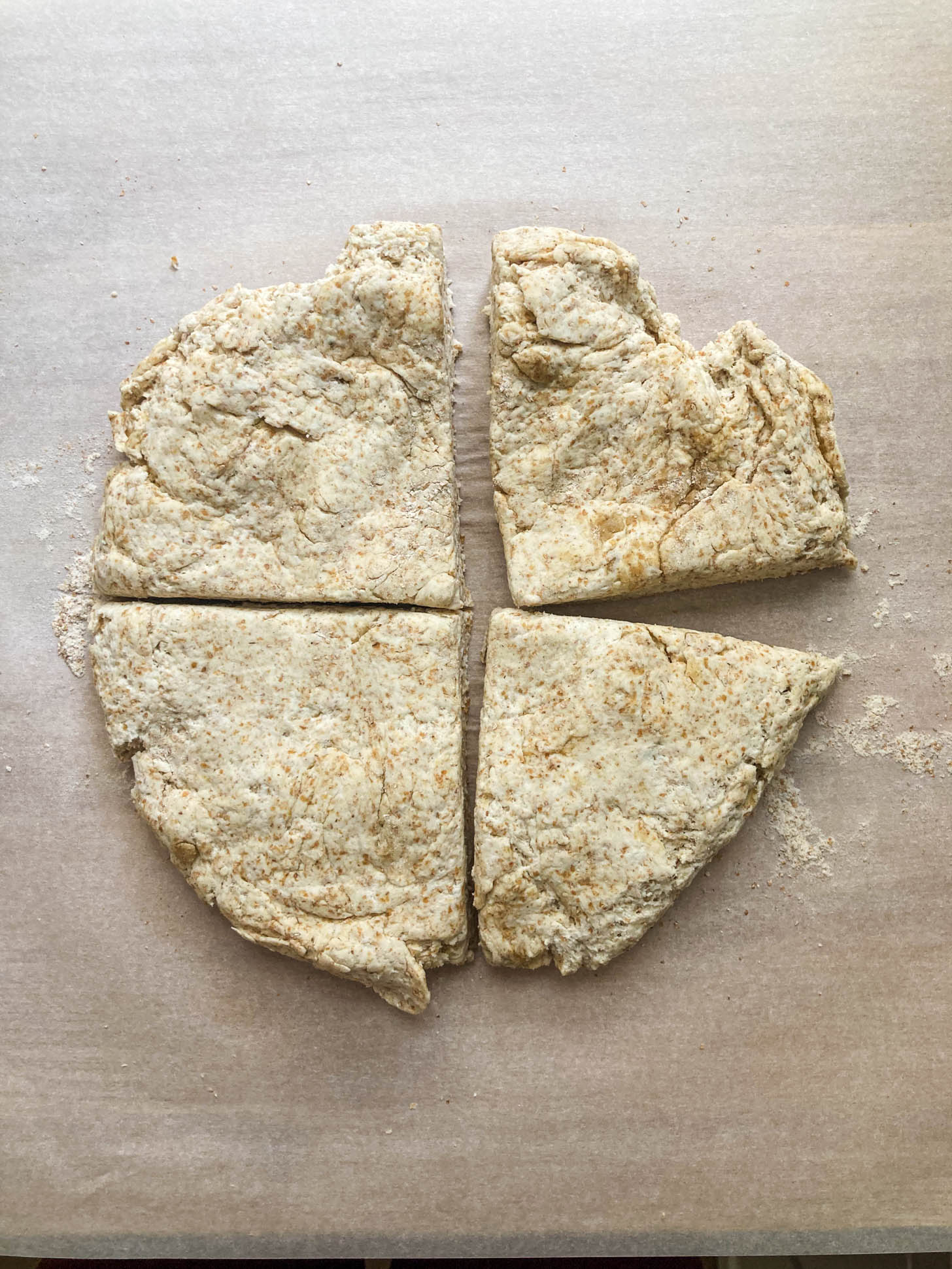 Pizza dough cut into 4 sections.